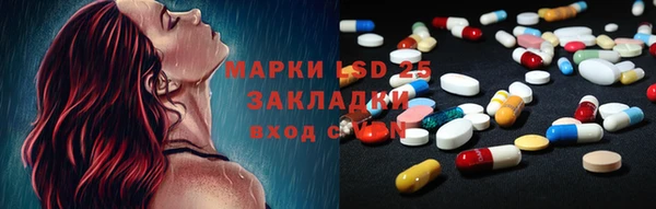 шишки Балабаново