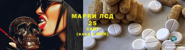 шишки Баксан