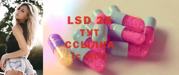 шишки Баксан