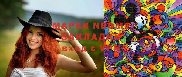 шишки Баксан
