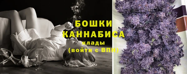 шишки Балабаново