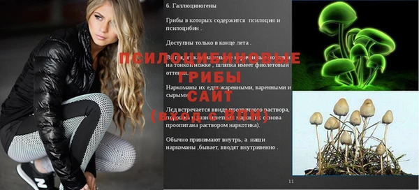 шишки Баксан