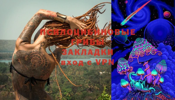шишки Балабаново