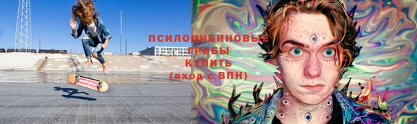 шишки Баксан