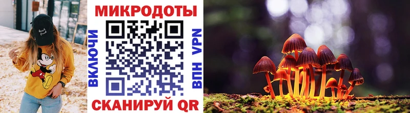 Псилоцибиновые грибы Cubensis  наркотики  Звенигород 